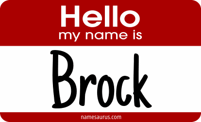 Hello my name is Brock png download