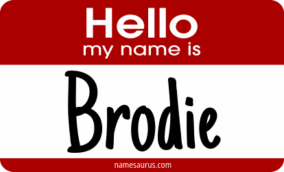 Hello my name is Brodie png download
