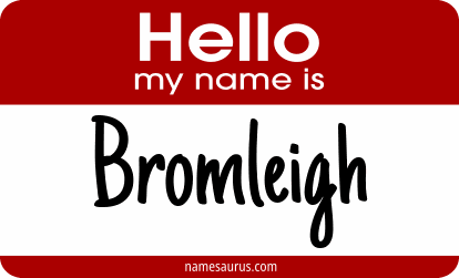 Hello my name is Bromleigh png download