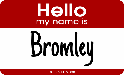 Hello my name is Bromley png download