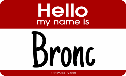 Hello my name is Bronc png download