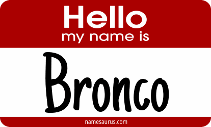 Hello my name is Bronco png download