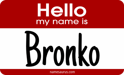 Hello my name is Bronko png download