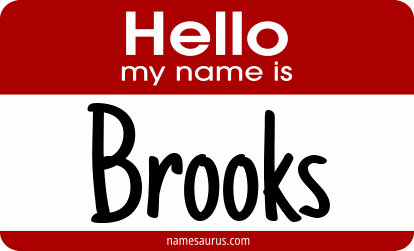 Hello my name is Brooks png download