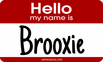 Hello my name is Brooxie png download