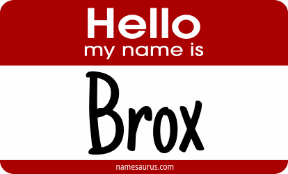Hello my name is Brox png download