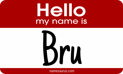 Hello my name is Bru png download