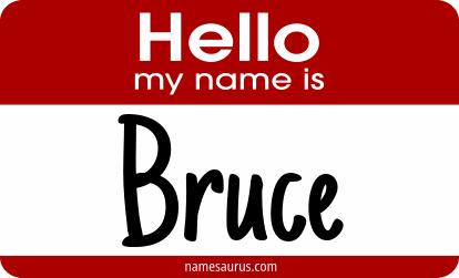 Hello my name is Bruce png download