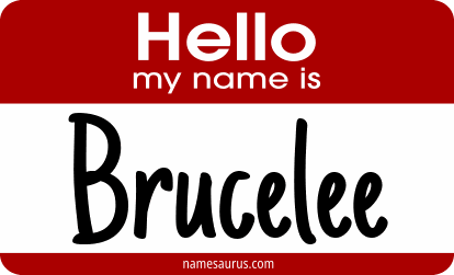 Hello my name is Brucelee png download