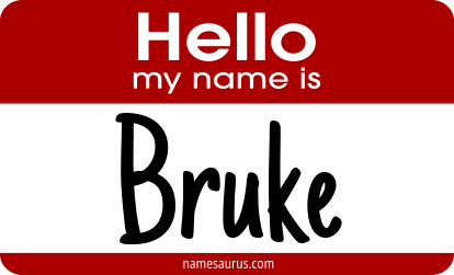 Hello my name is Bruke png download