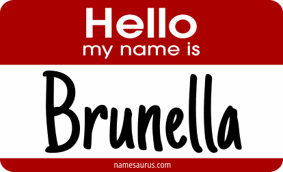 Hello my name is Brunella png download