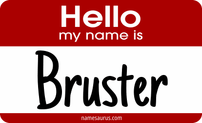 Hello my name is Bruster png download