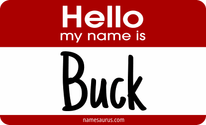 Hello my name is Buck png download