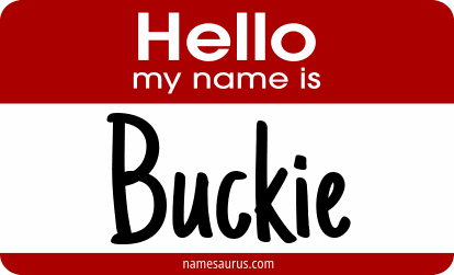 Hello my name is Buckie png download