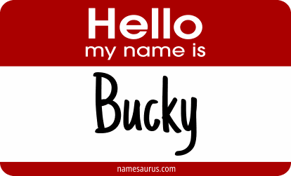 Hello my name is Bucky png download