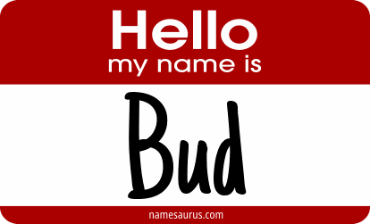 Hello my name is Bud png download
