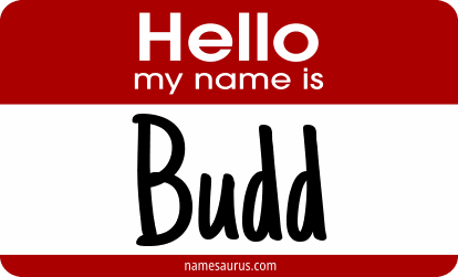 Hello my name is Budd png download