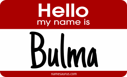 Hello my name is Bulma png download