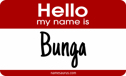 Hello my name is Bunga png download