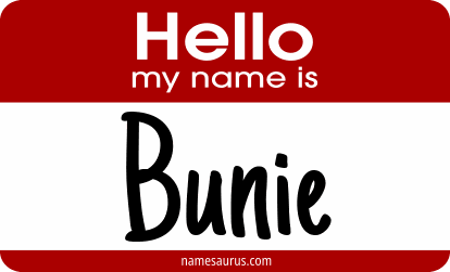 Hello my name is Bunie png download