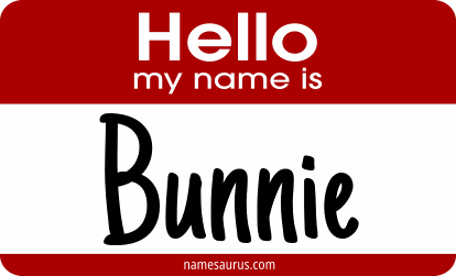 Hello my name is Bunnie png download