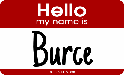 Hello my name is Burce png download