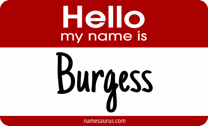 Hello my name is Burgess png download