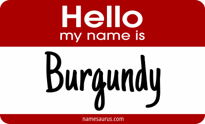 Hello my name is Burgundy png download