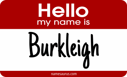 Hello my name is Burkleigh png download