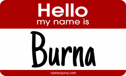Hello my name is Burna png download