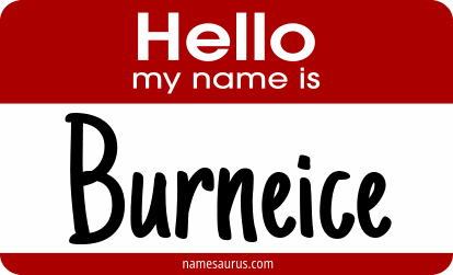 Hello my name is Burneice png download