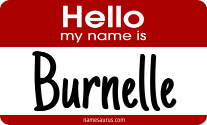 Hello my name is Burnelle png download