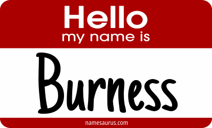 Hello my name is Burness png download