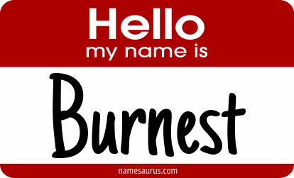 Hello my name is Burnest png download