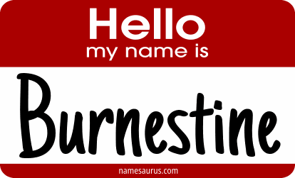 Hello my name is Burnestine png download