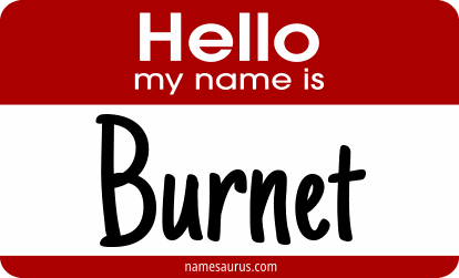 Hello my name is Burnet png download