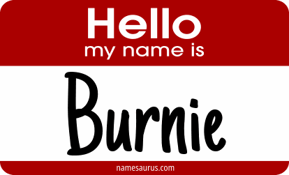 Hello my name is Burnie png download