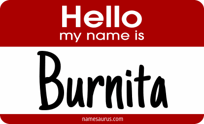 Hello my name is Burnita png download