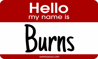 Hello my name is Burns png download