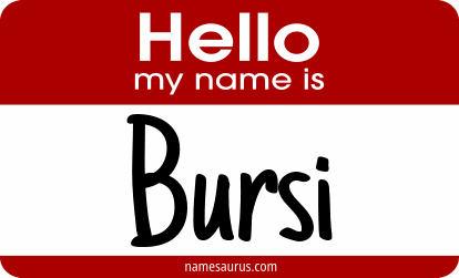 Hello my name is Bursi png download