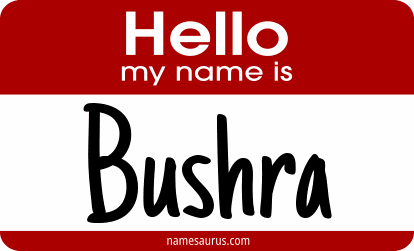 Hello my name is Bushra png download