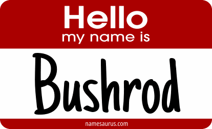 Hello my name is Bushrod png download