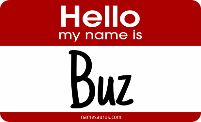 Hello my name is Buz png download