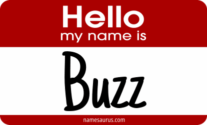 Hello my name is Buzz png download