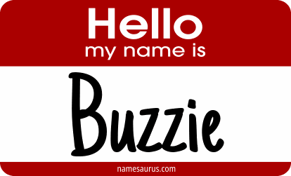 Hello my name is Buzzie png download