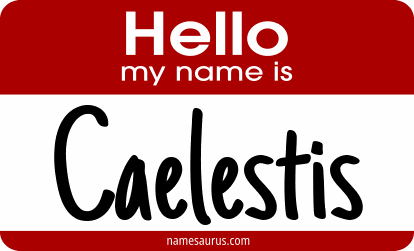 Hello my name is Caelestis png download