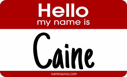 Hello my name is Caine png download