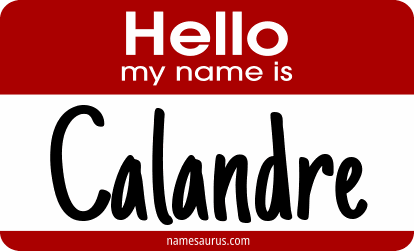 Hello my name is Calandre png download
