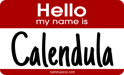 Hello my name is Calendula png download
