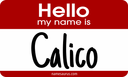 Hello my name is Calico png download